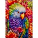 DUTCH LADY DESIGNS GREETING CARD Tropical Bird 10